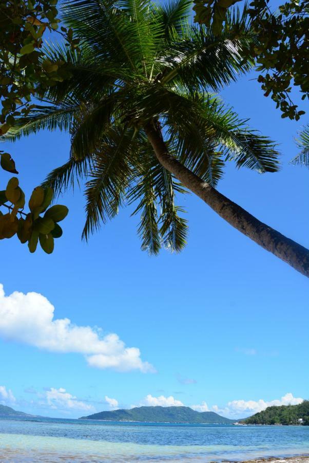 Villa Anse La Blague Baie Sainte Anne Bagian luar foto