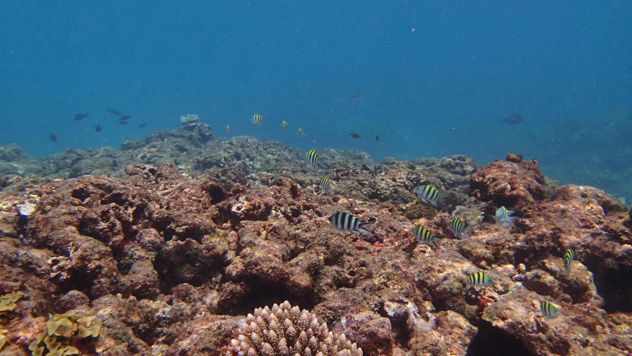 Villa Anse La Blague Baie Sainte Anne Bagian luar foto