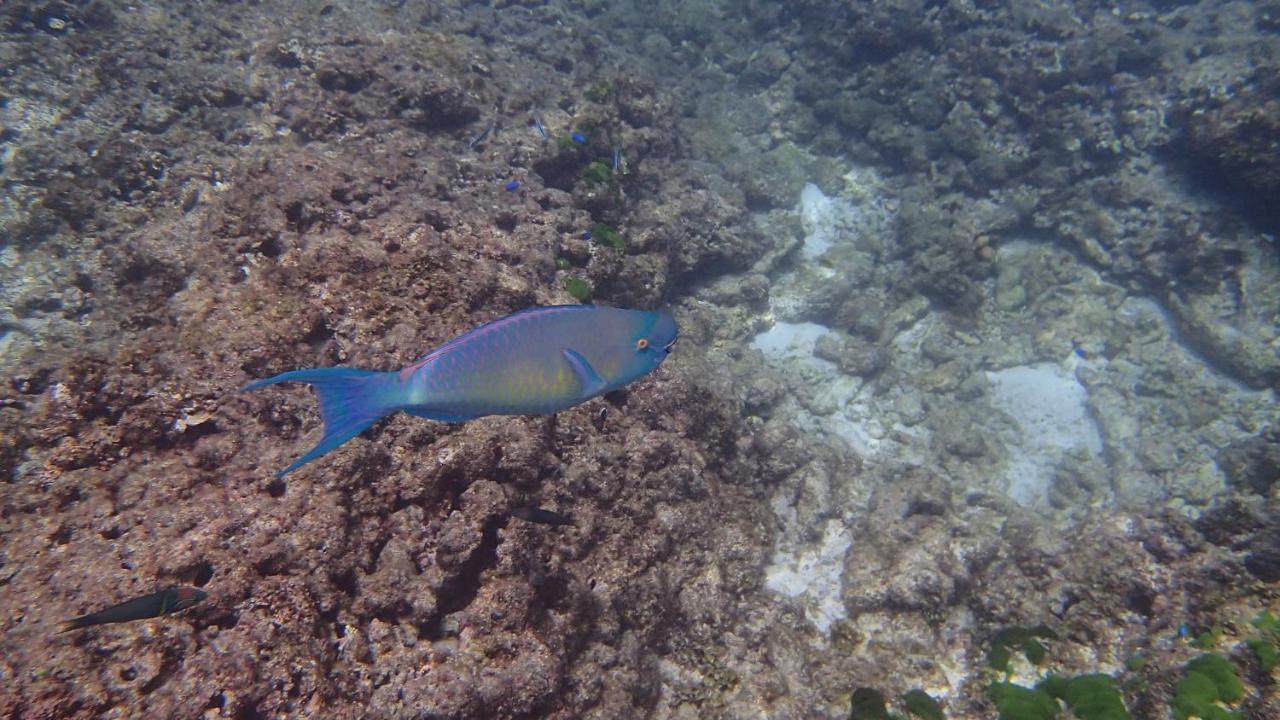 Villa Anse La Blague Baie Sainte Anne Bagian luar foto