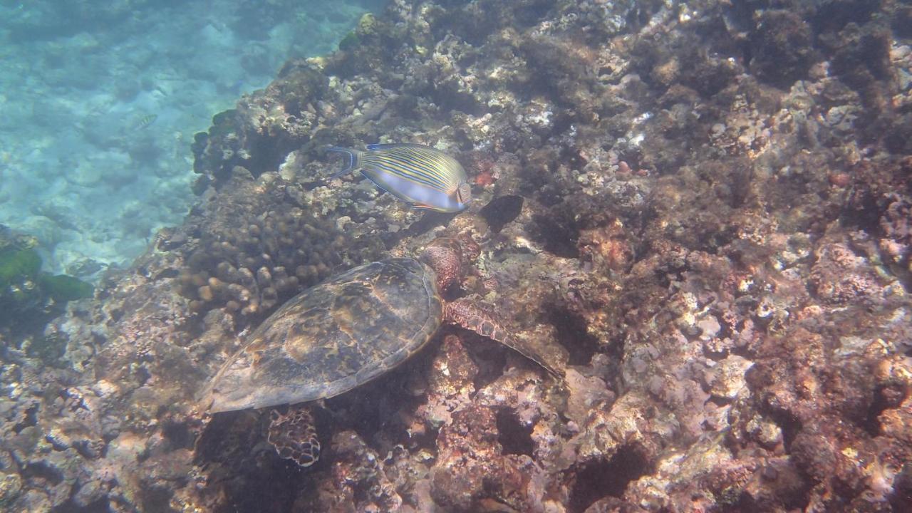 Villa Anse La Blague Baie Sainte Anne Bagian luar foto