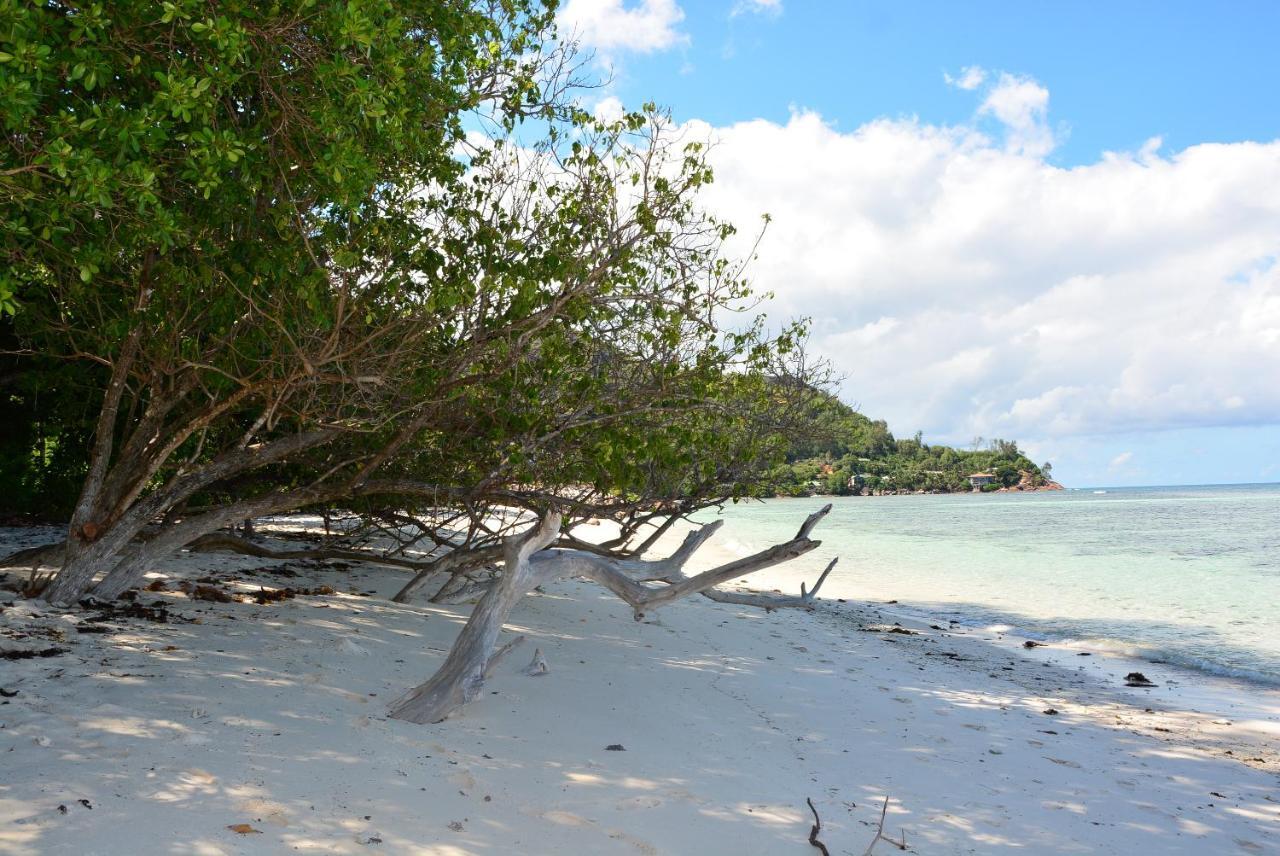 Villa Anse La Blague Baie Sainte Anne Bagian luar foto